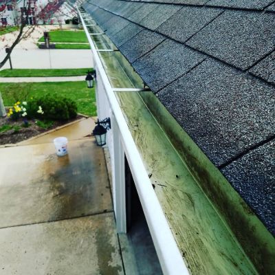 Gutter Cleaning Service Elfers FL