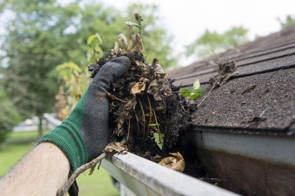 Gutter Cleaning Bayonet Point FL