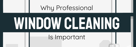 Why Professional Window Cleaning Is Important