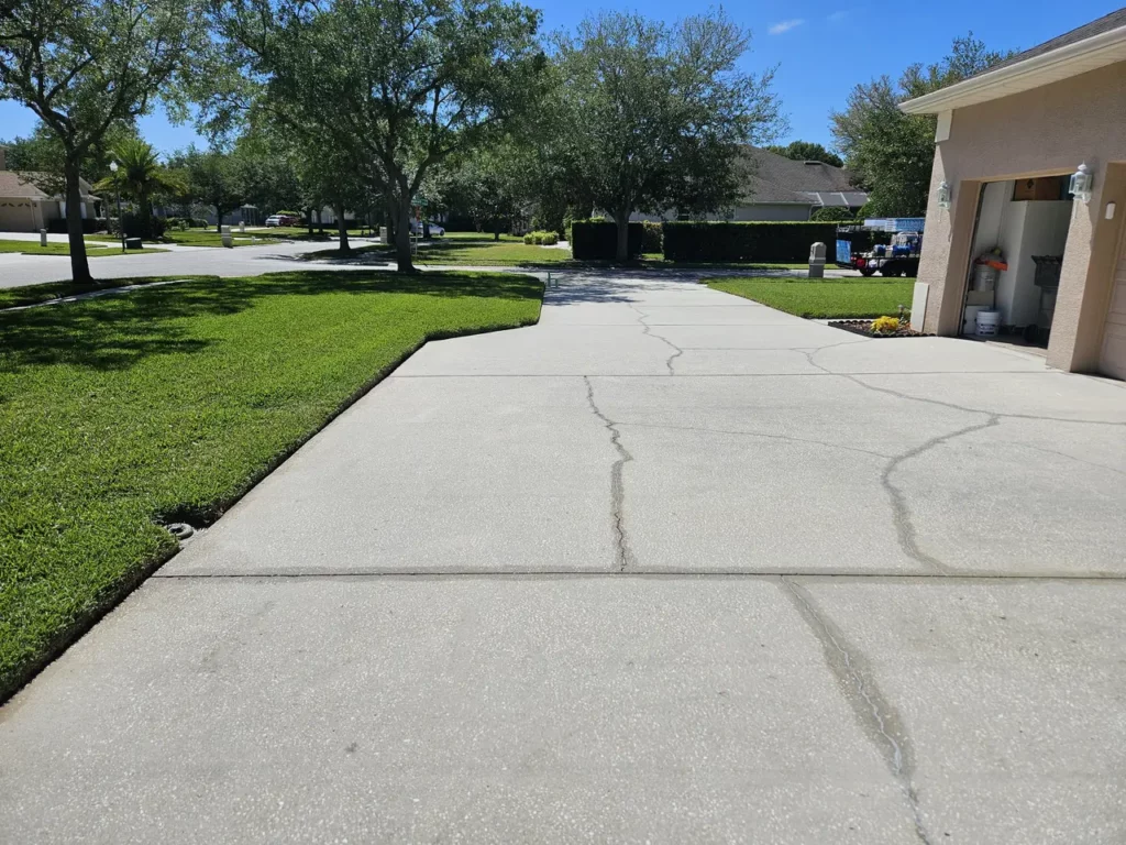 soft pressure washing palm harbor fl