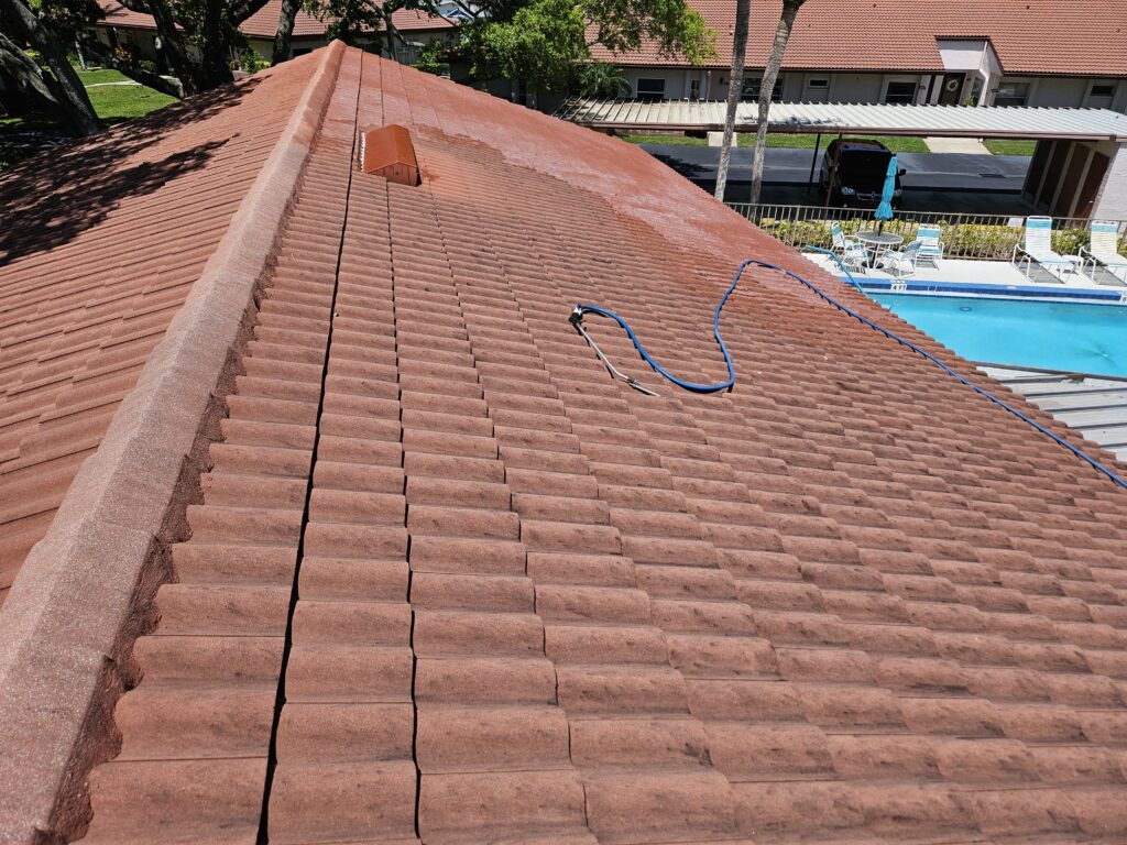 roof cleaning trinity fl 