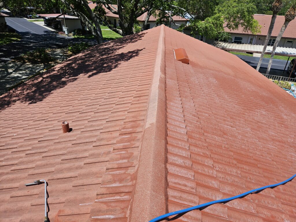 roof cleaning trinity fl 