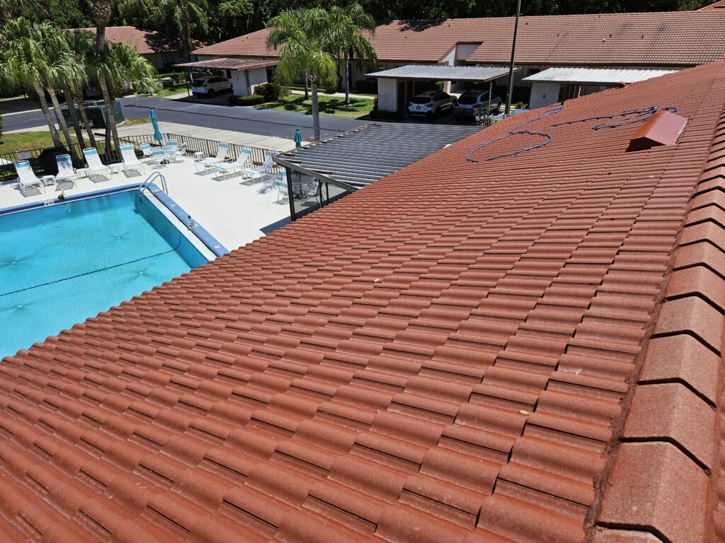 roof cleaning trinity fl 