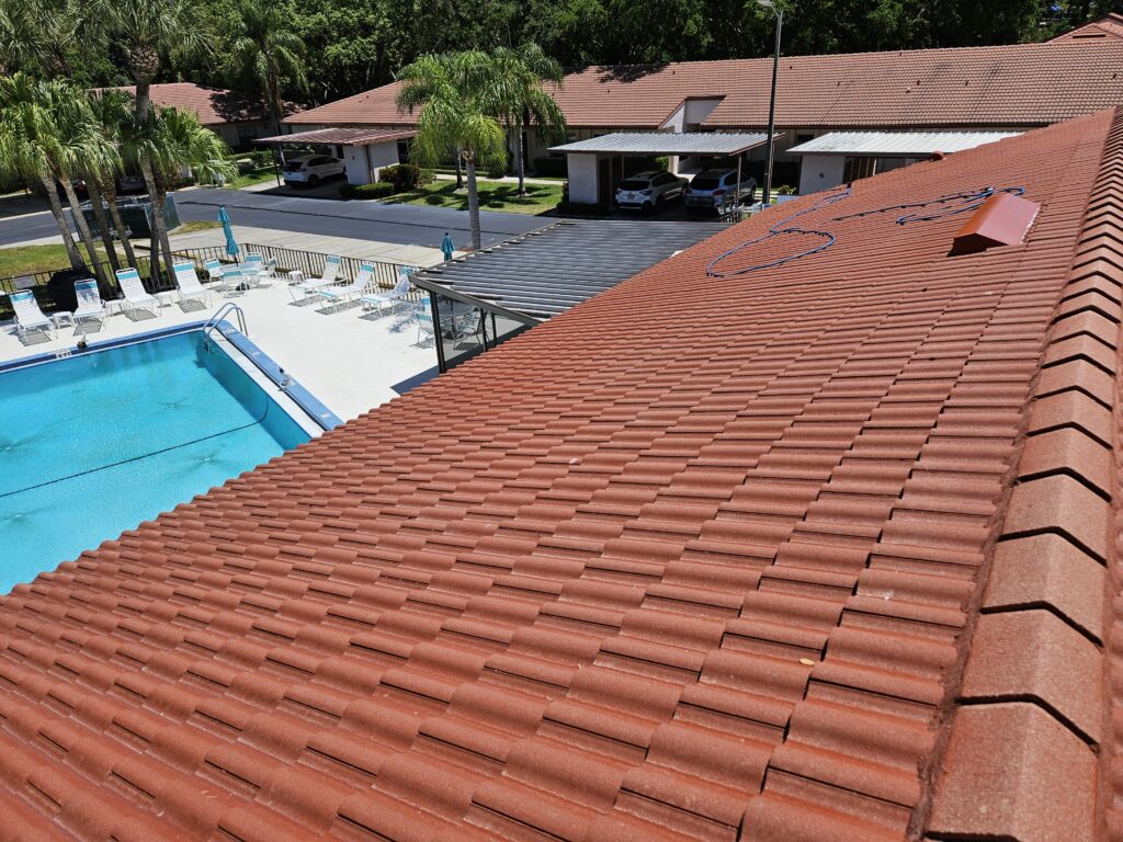 roof cleaning trinity fl 