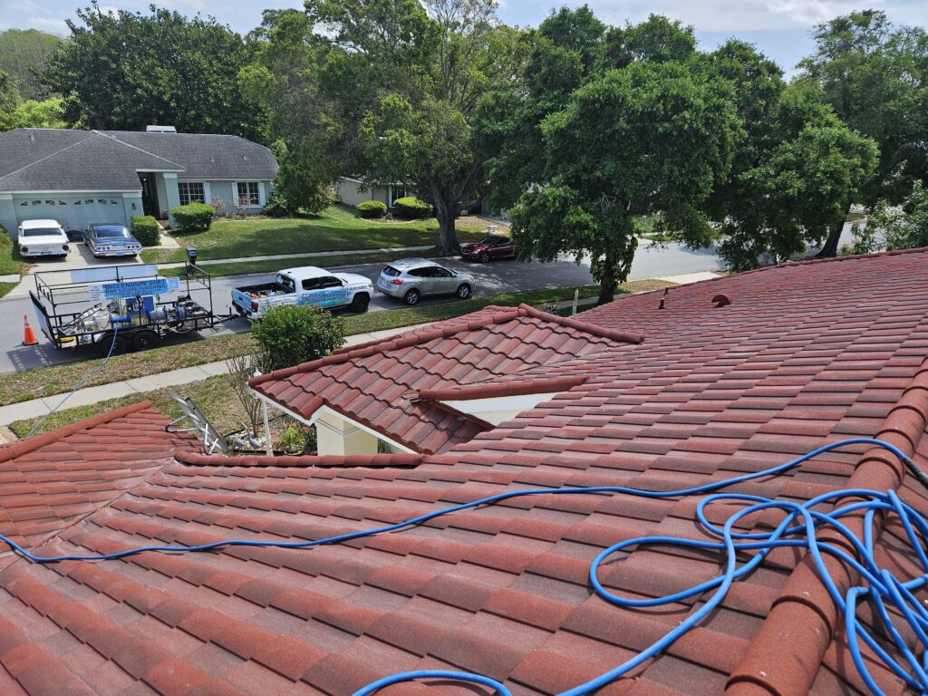 roof cleaning trinity fl 