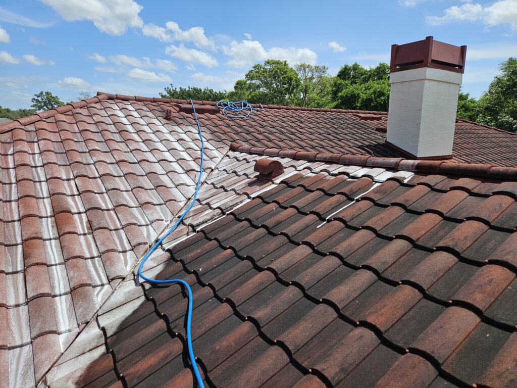 roof cleaning trinity fl 