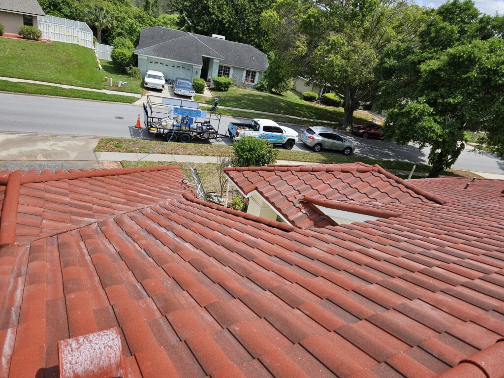 roof cleaning trinity fl 