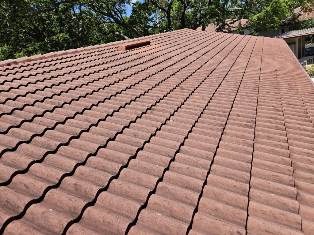 roof cleaning trinity fl 