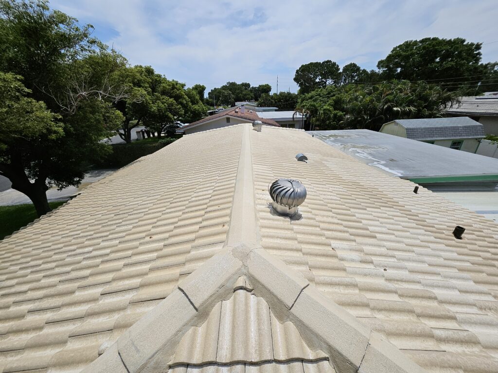 roof cleaning tampa fl