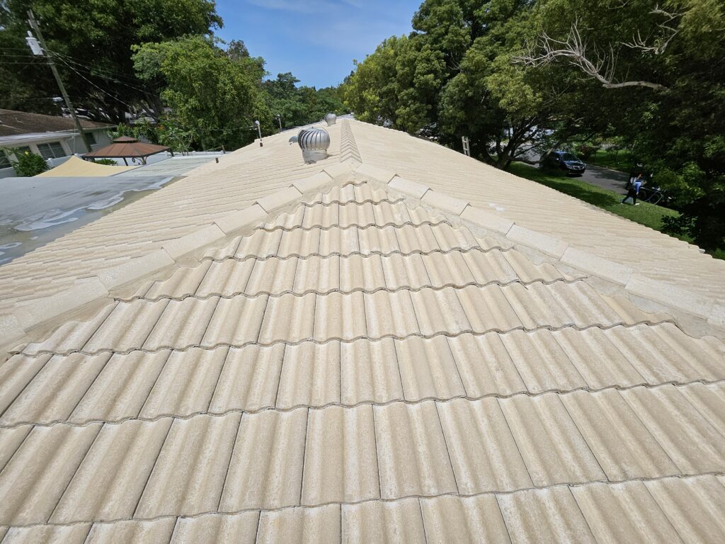 roof cleaning tampa fl